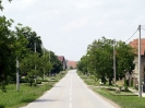 Bogdanovci